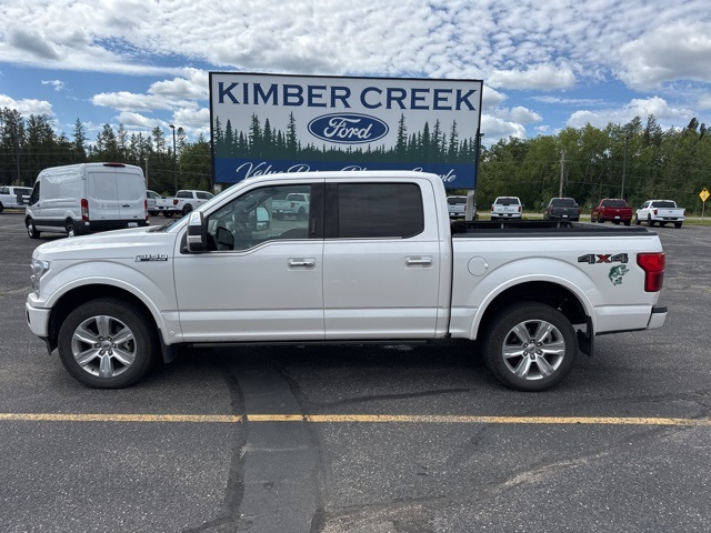 Used 2019 Ford F-150 Platinum with VIN 1FTEW1E4XKFC87059 for sale in Pine River, Minnesota