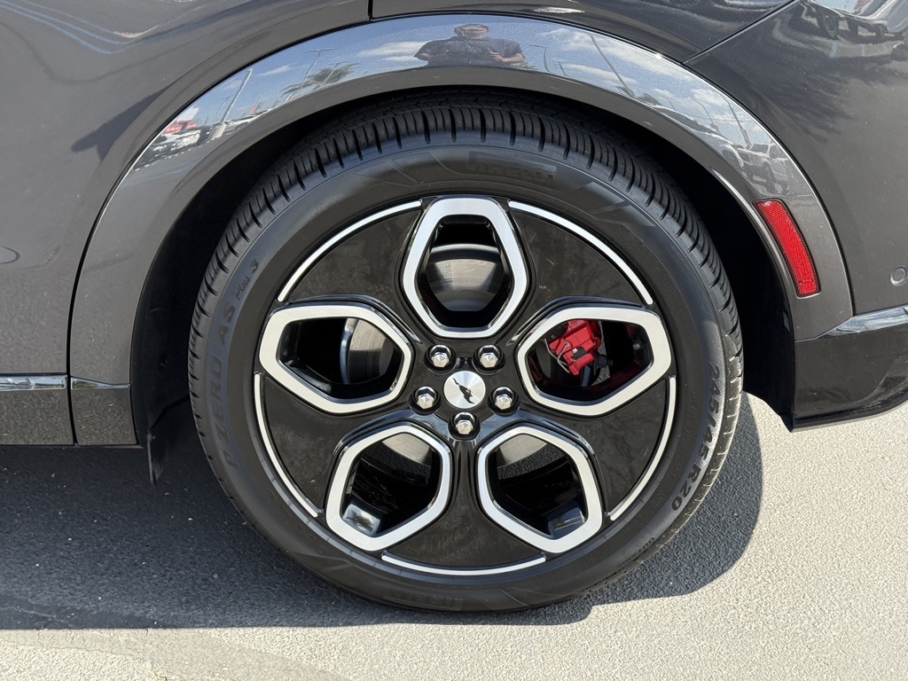 2022 Ford Mustang Mach-E GT photo 10