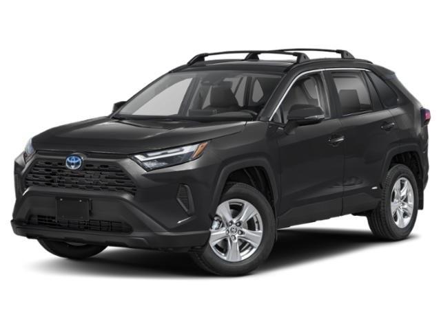2025 Toyota RAV4 XLE's photo