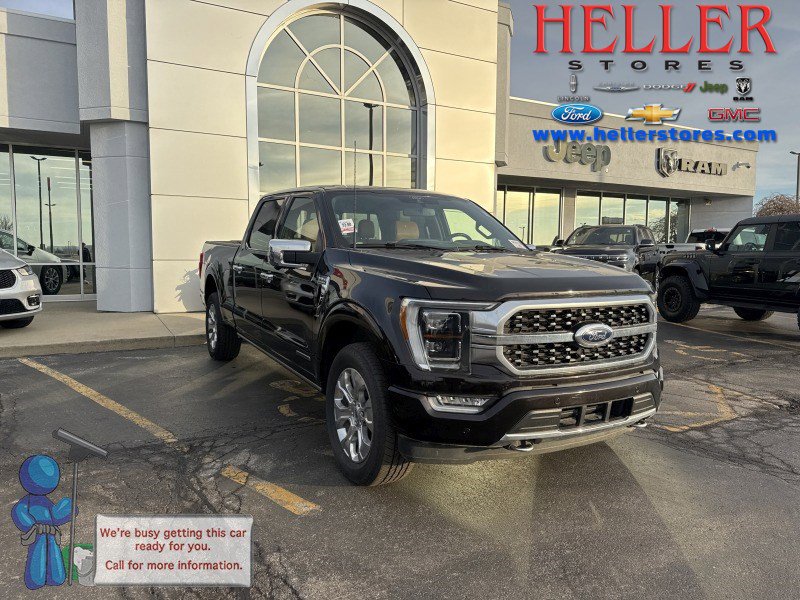 2021 Ford F-150 Platinum's photo