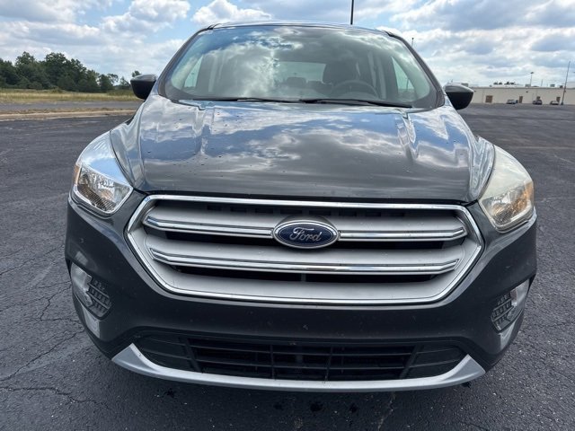 2019 Ford Escape SE photo 2