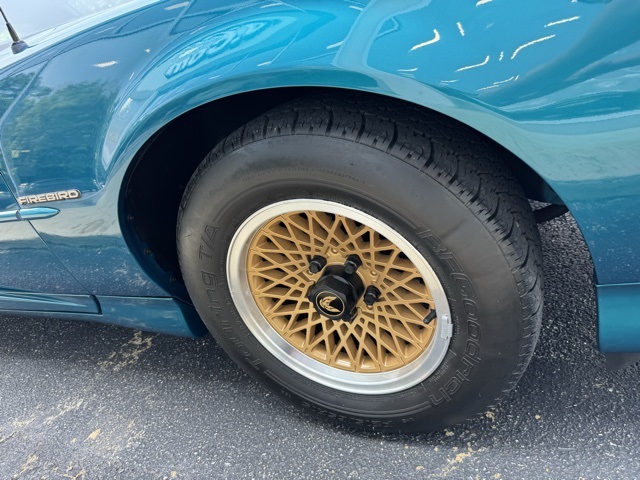 1992 Pontiac Firebird Formula photo 26