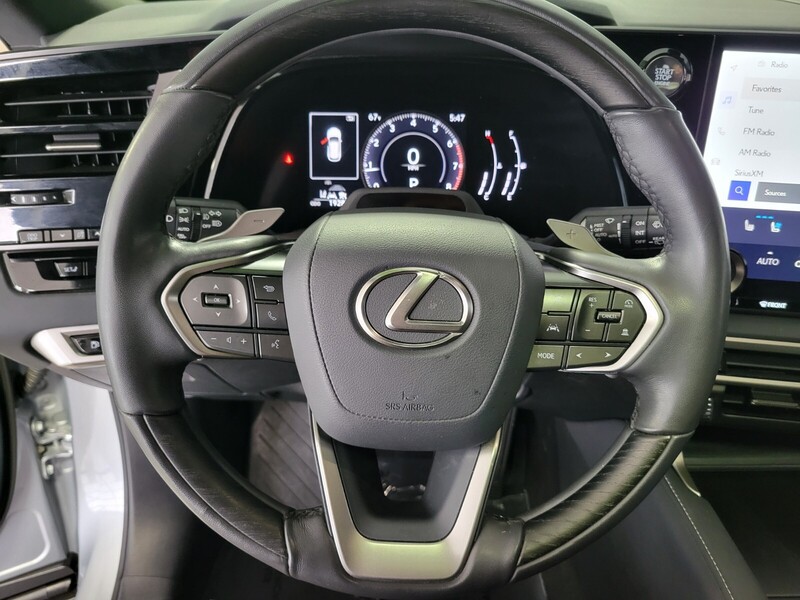 2024 Lexus RX 350 photo 19