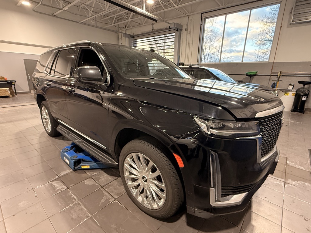 2023 Cadillac Escalade Premium Luxury's photo