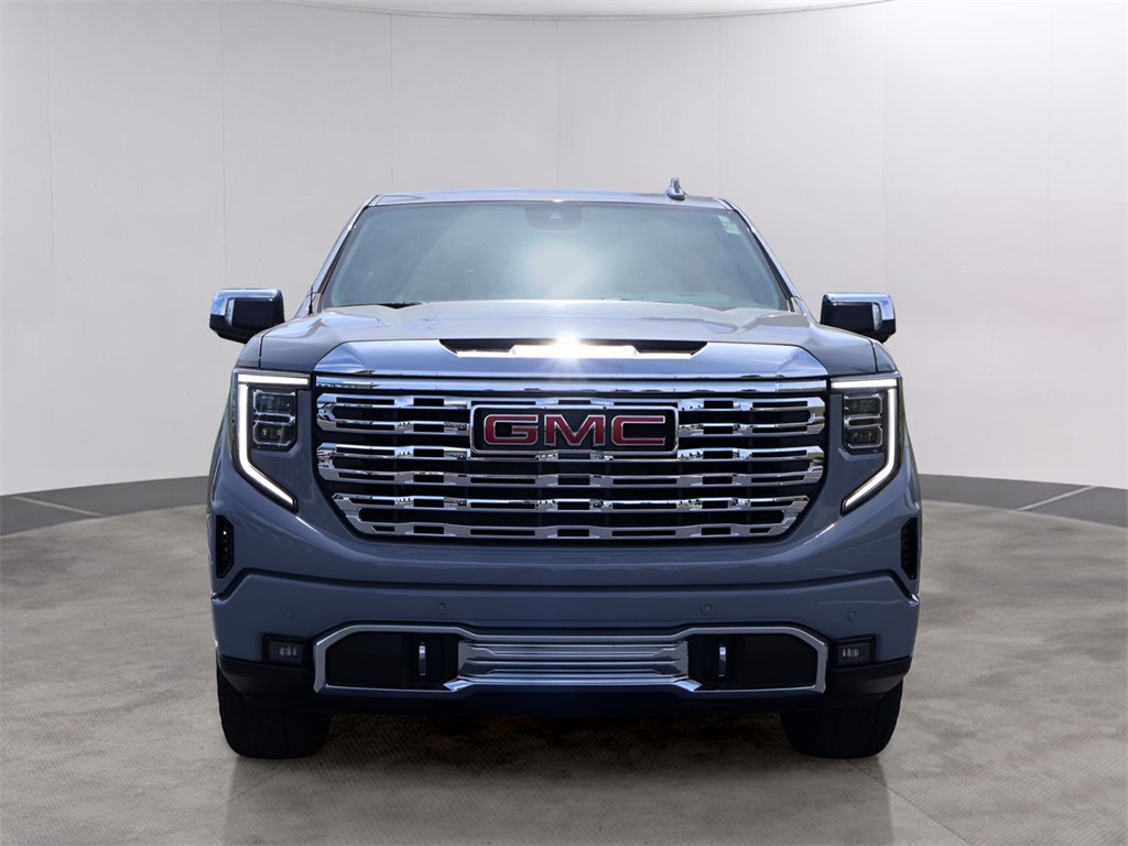 2025 Gmc Sierra 1500 Denali photo 2
