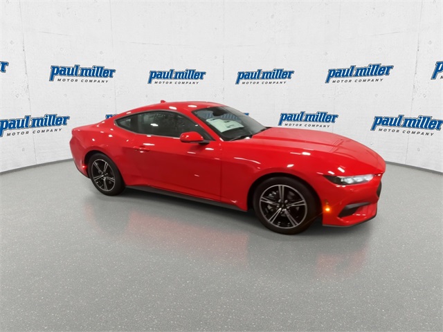 2025 Ford Mustang EcoBoost photo 2