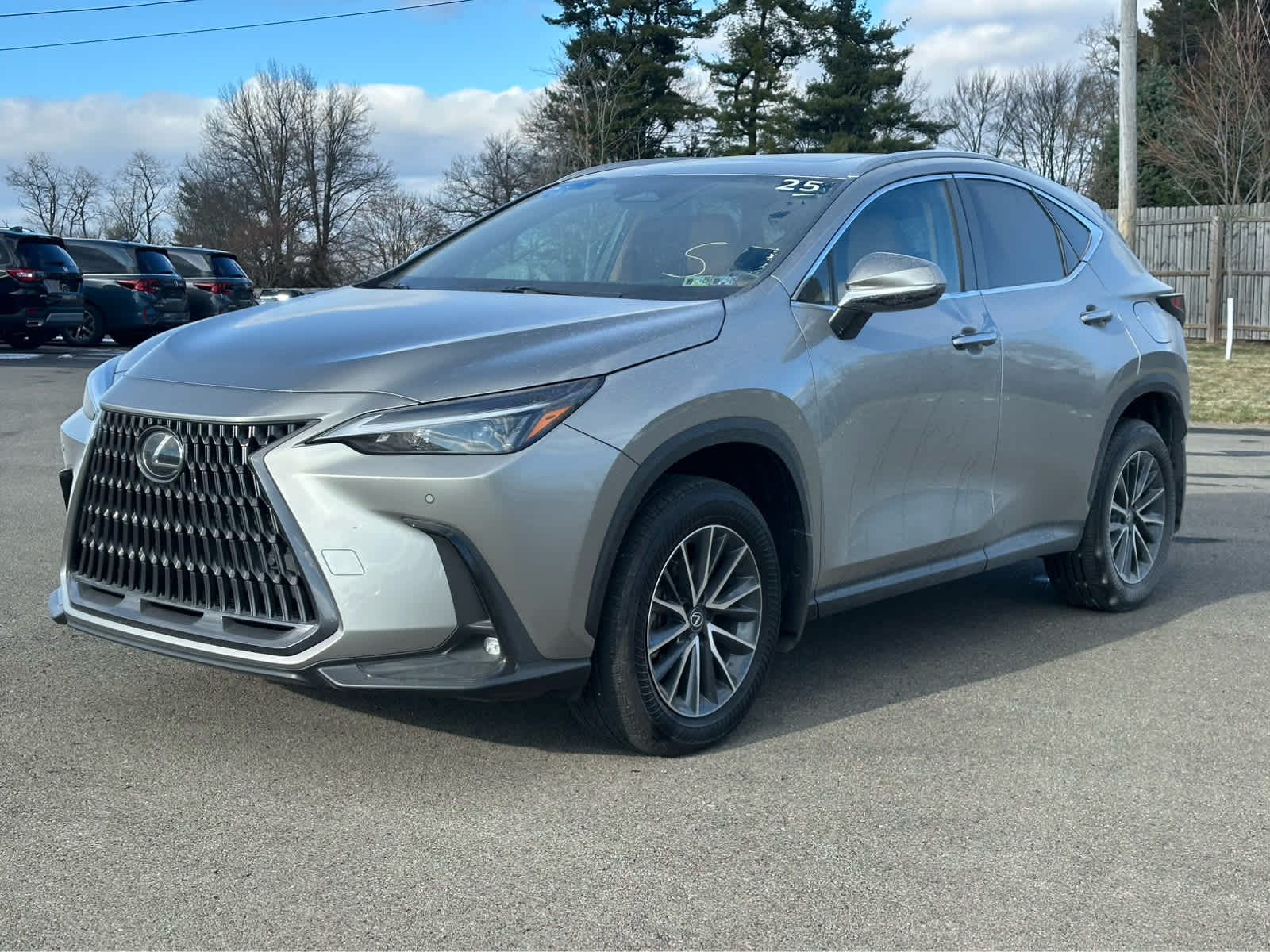 2025 Lexus NX 350's photo