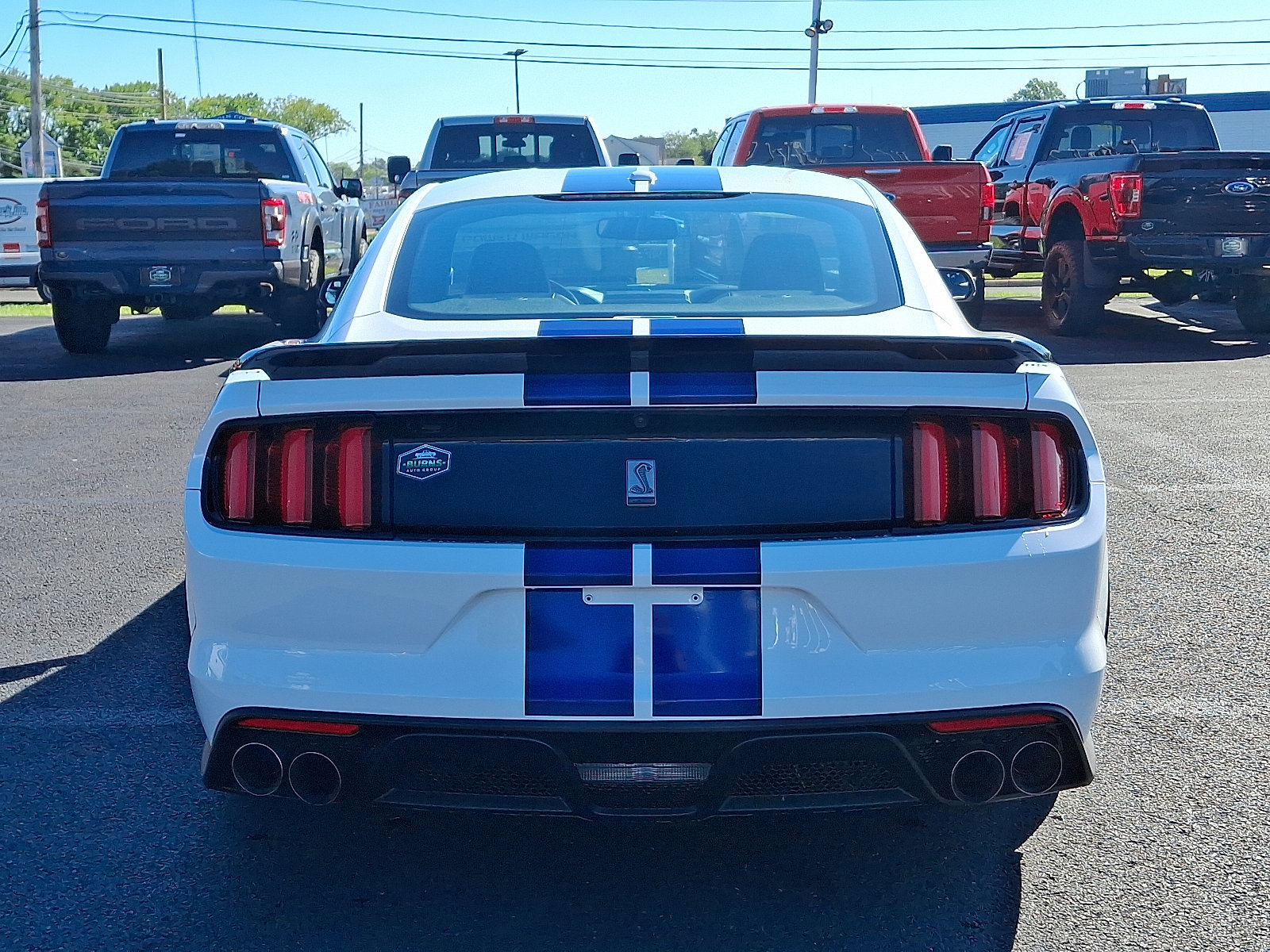 2016 Ford Mustang Shelby GT350 photo 9
