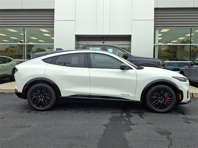 2025 Ford Mustang Mach-E Premium AWD's photo