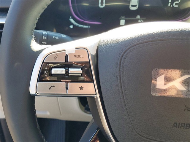 2025 Kia Telluride EX photo 11