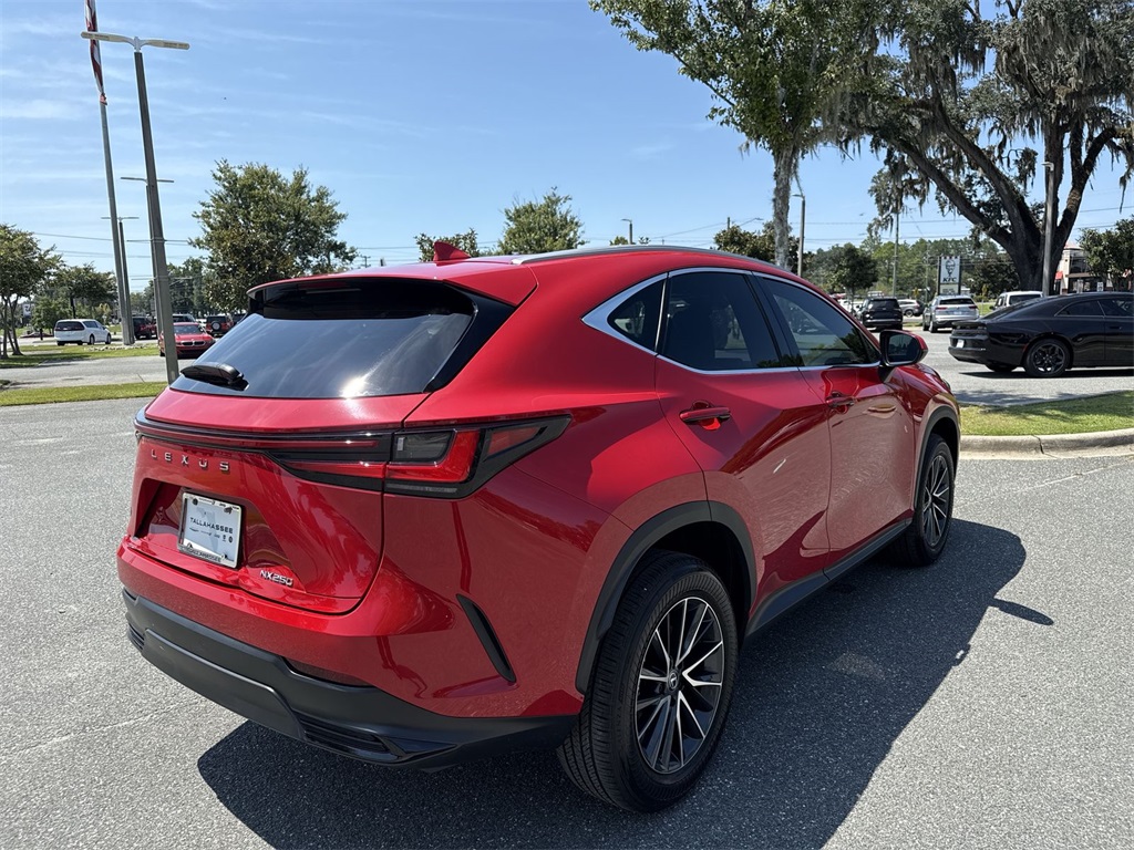 2024 Lexus NX 250 photo 3
