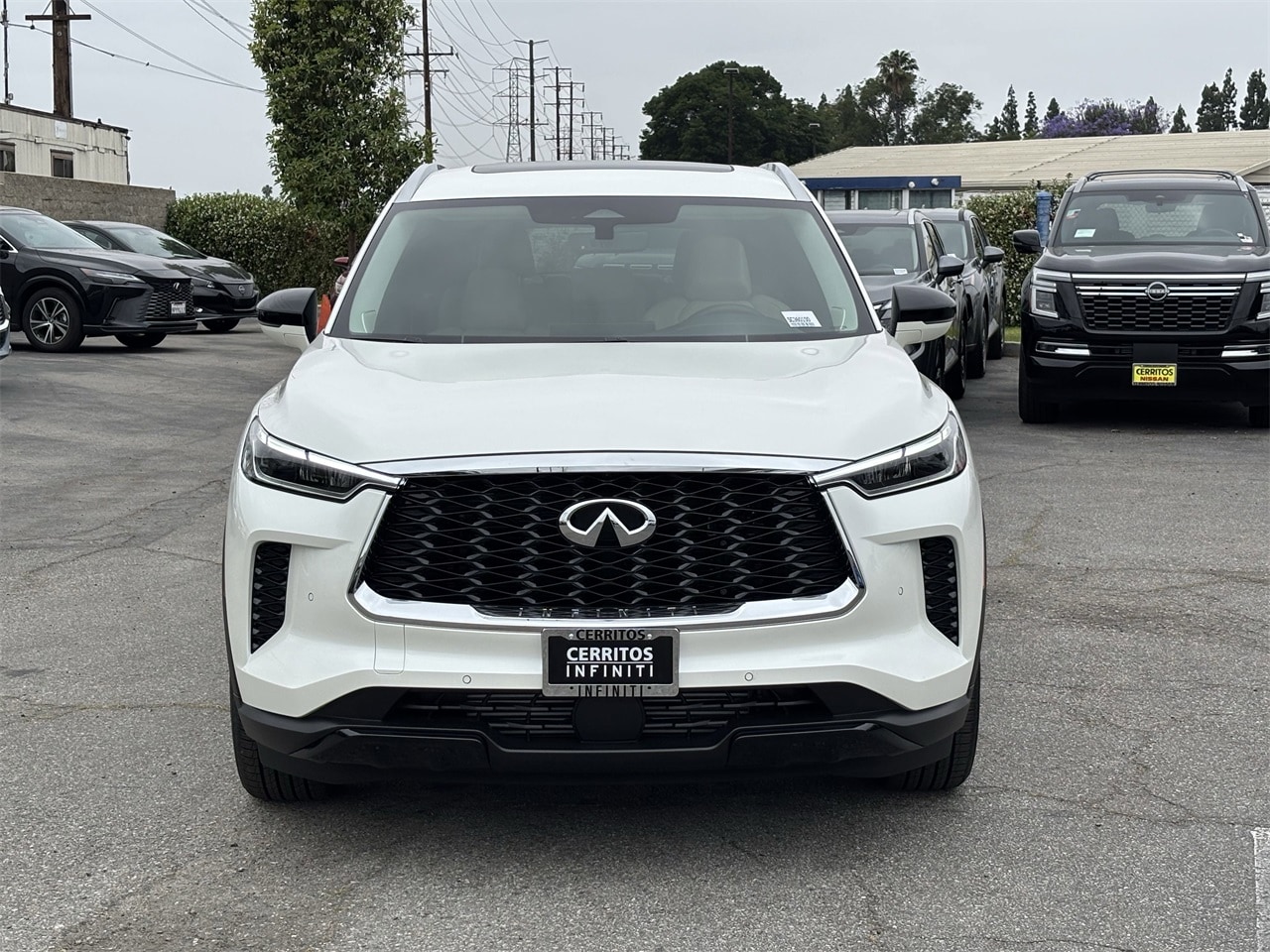 2025 Infiniti QX60 Luxe photo 6