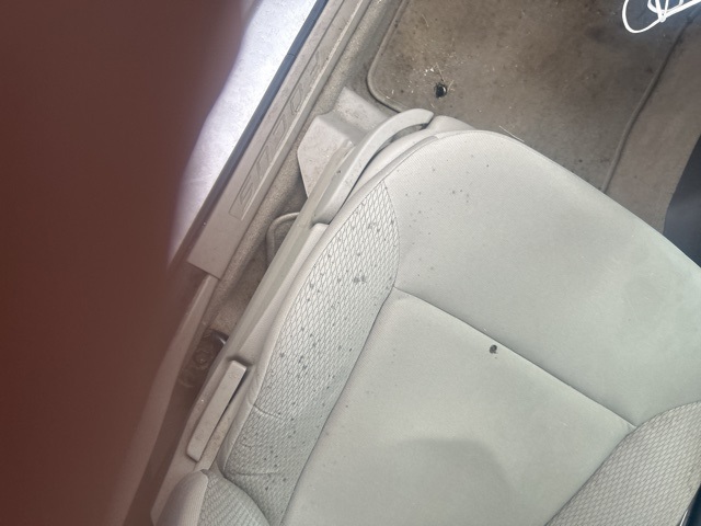 Used 2009 Ford Focus S with VIN 1FAHP34N19W211956 for sale in Sellersburg, IN