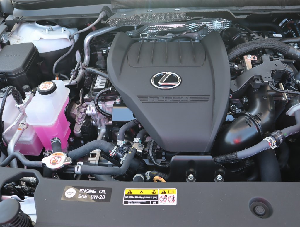 2025 Lexus RX 350 photo 10