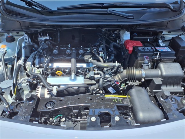 View 20