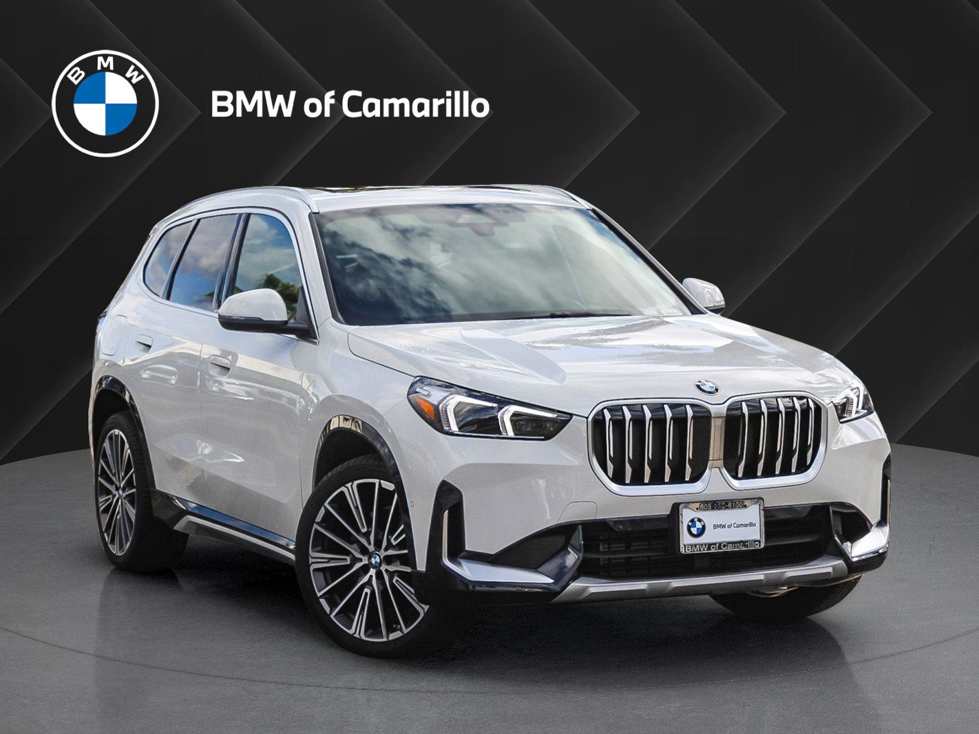 2025 BMW X1 28i's photo