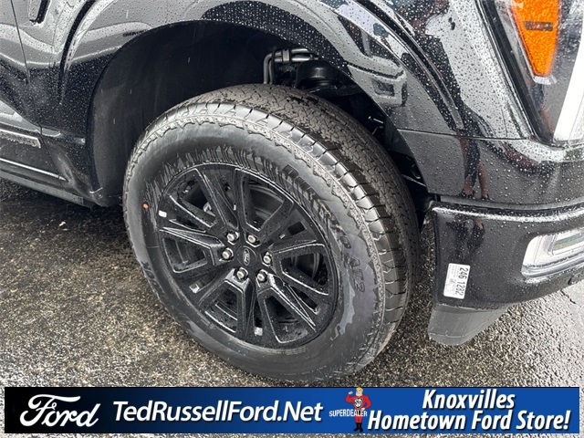 2025 Ford F-150 Platinum photo 4