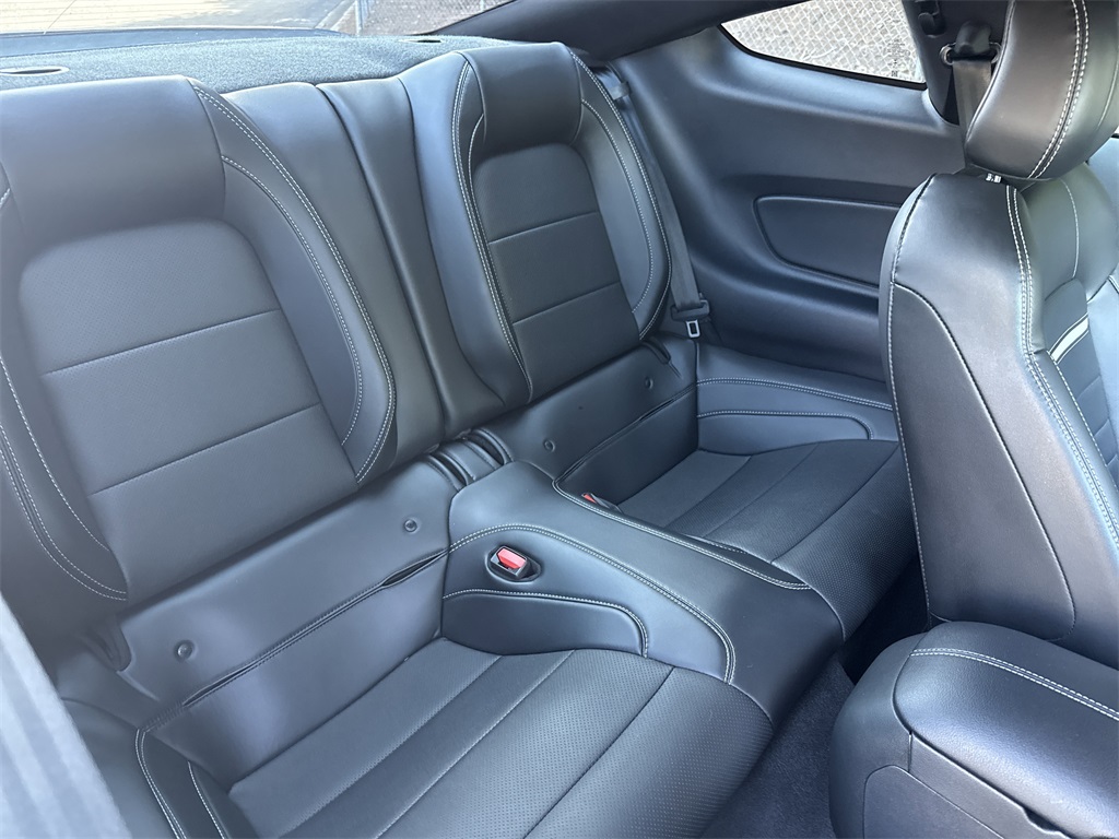 2022 Ford Mustang Mach 1 photo 15