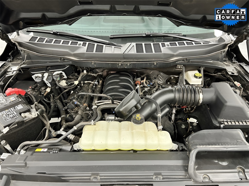 2025 Ford F-150 XLT photo 15