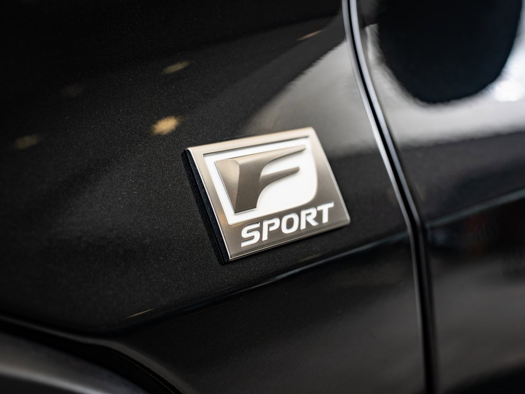 2019 Lexus UX 250h F SPORT photo 9