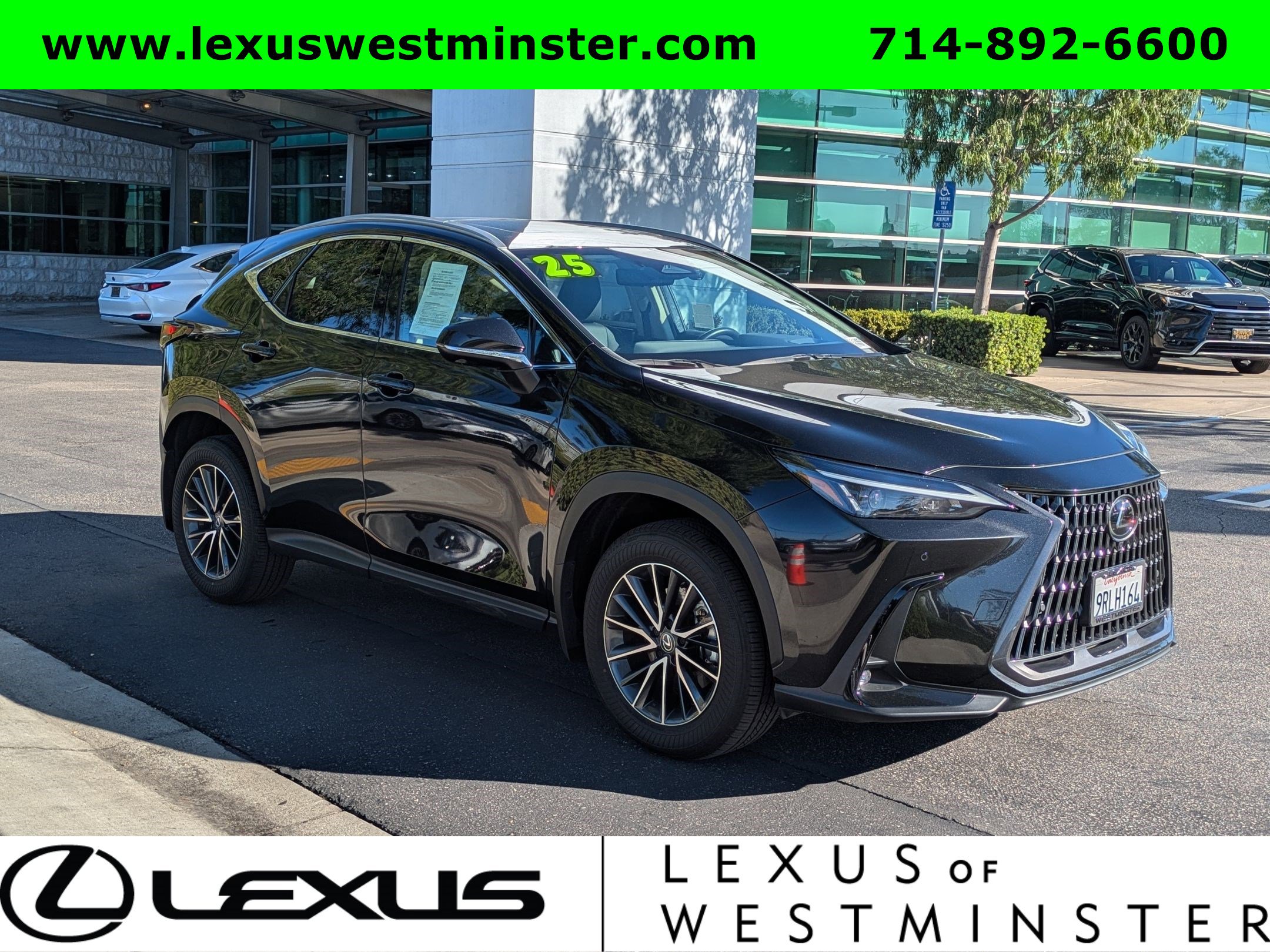 2025 Lexus NX 350h Premium photo 3