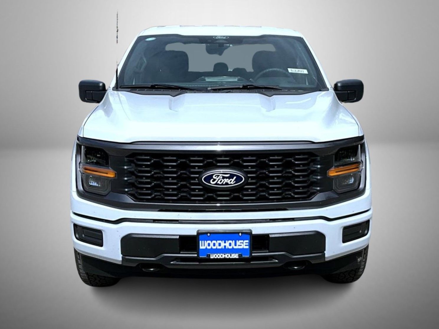 2025 Ford F-150 STX photo 2