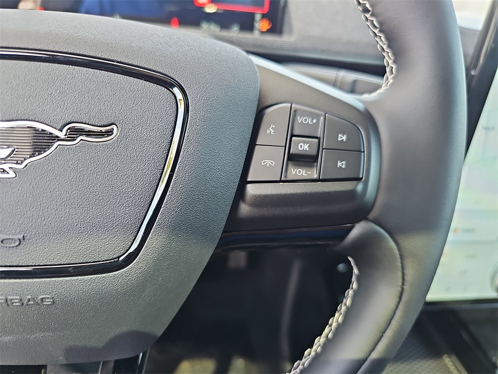 2025 Ford Mustang Mach-E GT photo 18