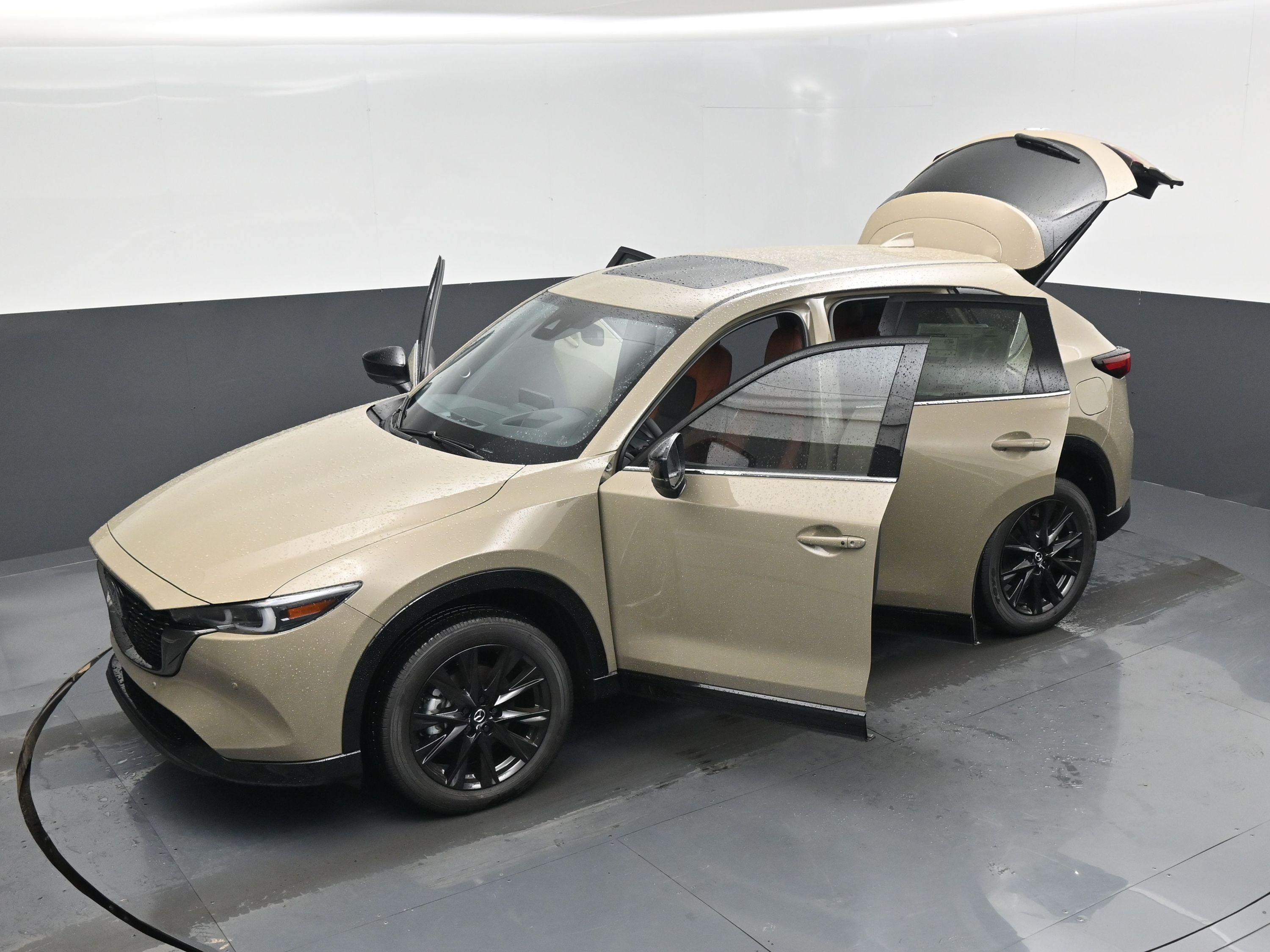 2025 Mazda CX-5 2.5 Carbon Turbo photo 58