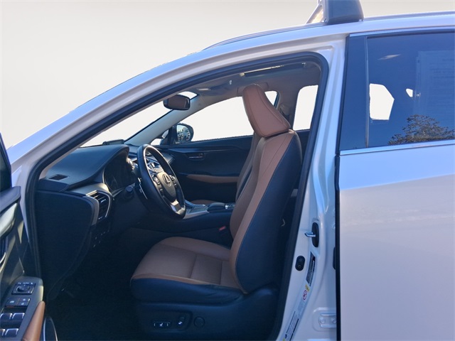 2019 Lexus NX 300 Luxury photo 9