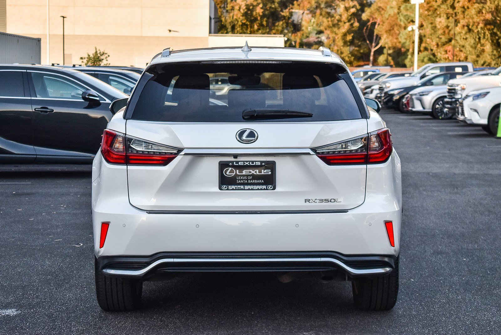 2018 Lexus RX 350L photo 2
