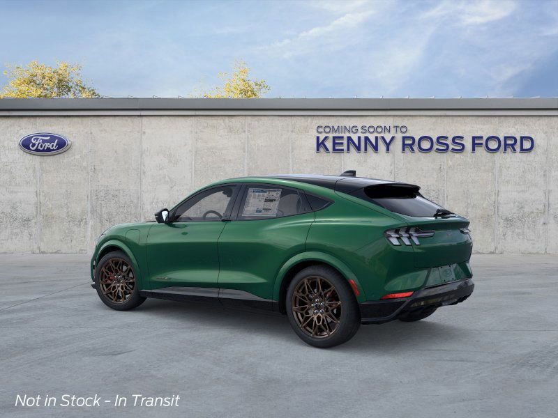 2025 Ford Mustang Mach-E GT photo 3
