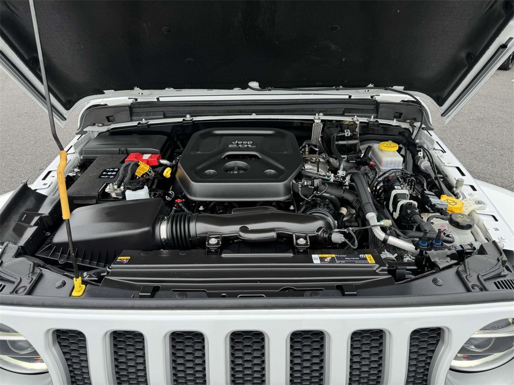 2021 Jeep Wrangler Unlimited Sahara photo 6