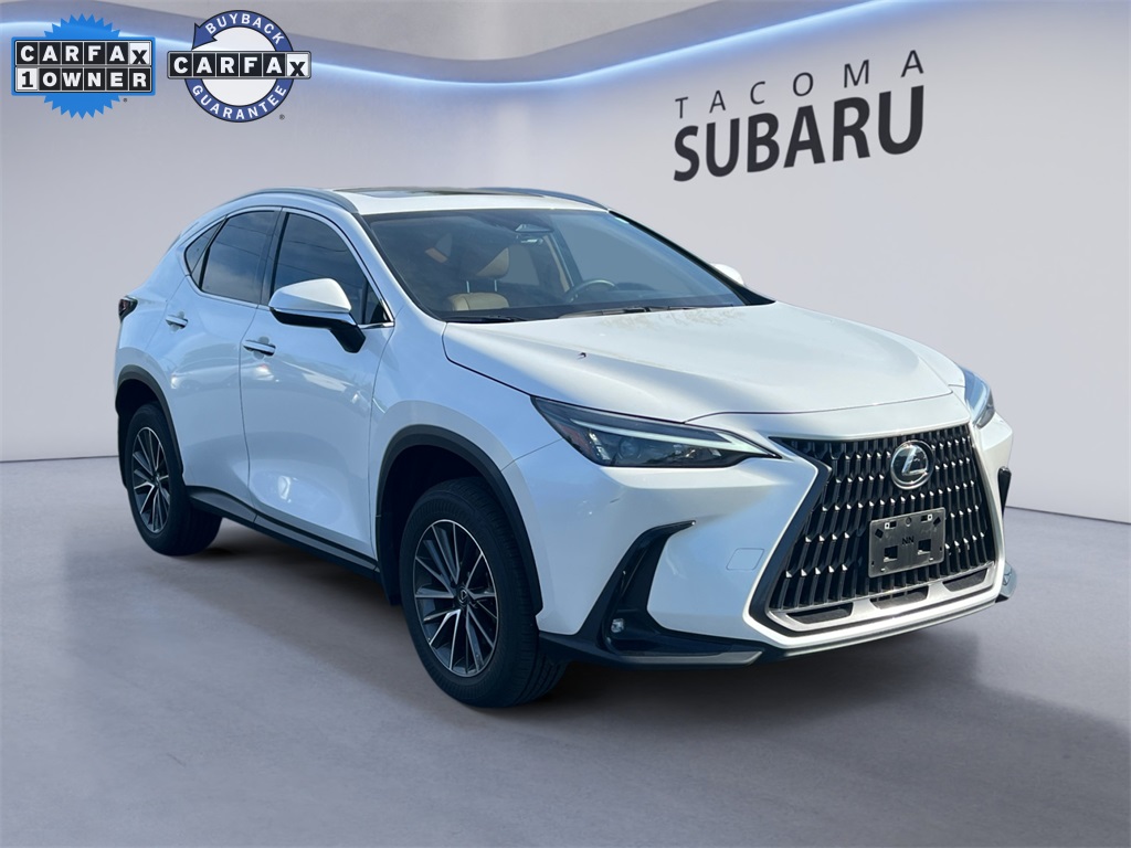 2024 Lexus NX 350 photo 6