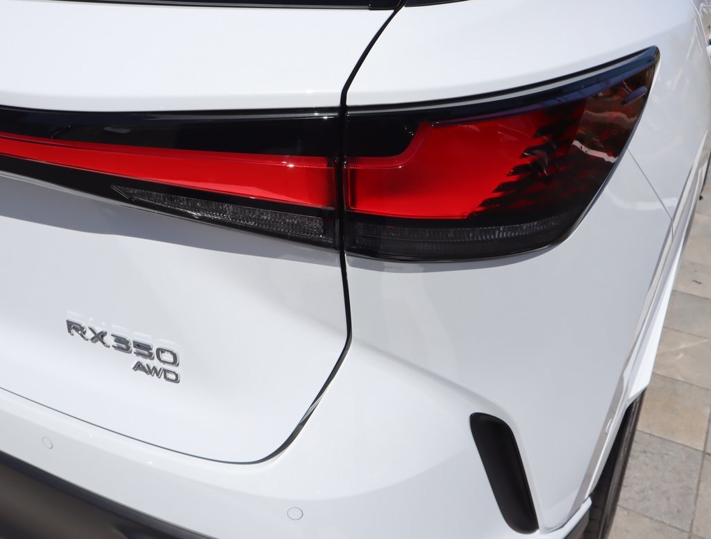 2025 Lexus RX 350 photo 21