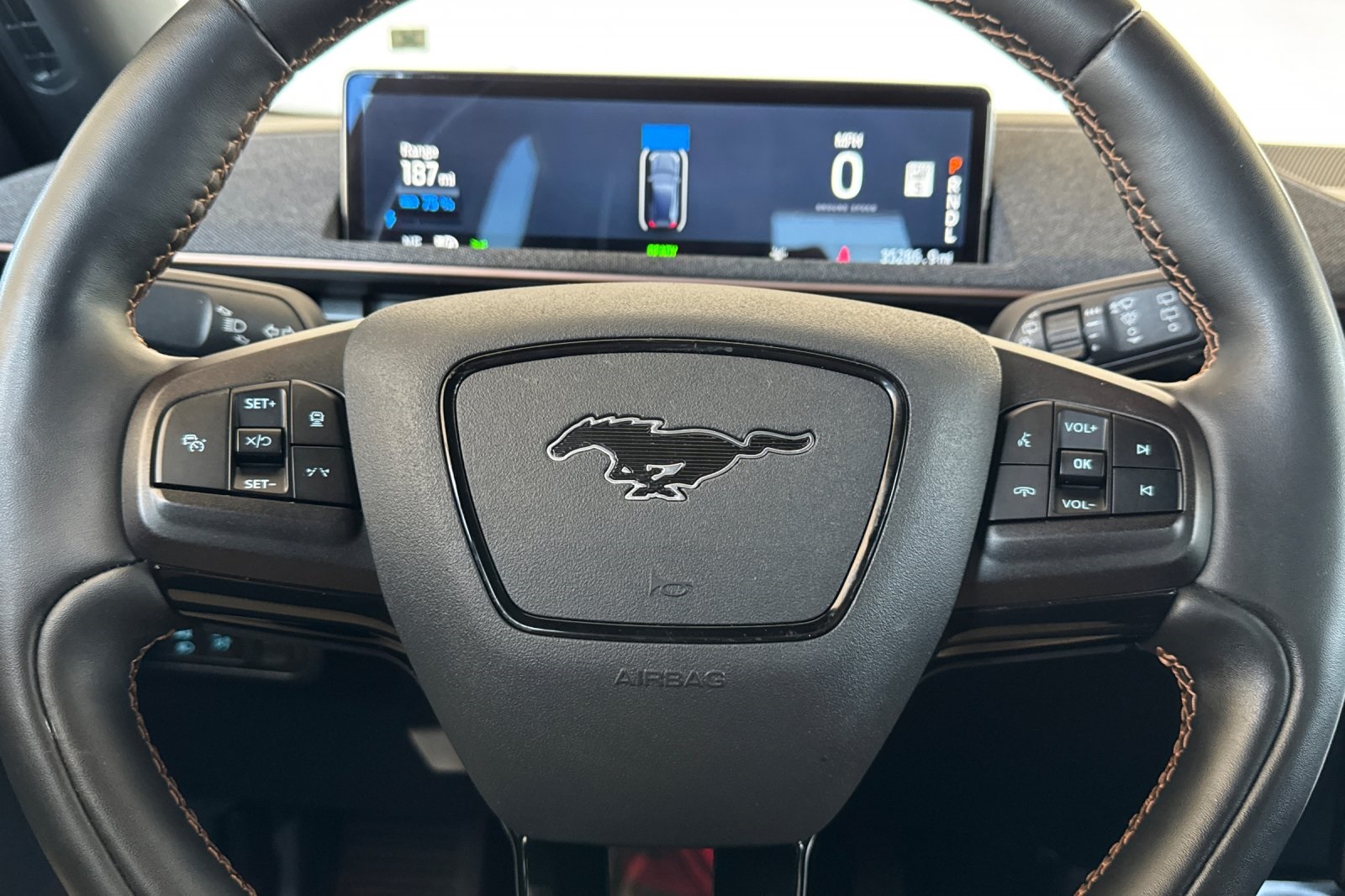 2021 Ford Mustang Mach-E GT photo 21