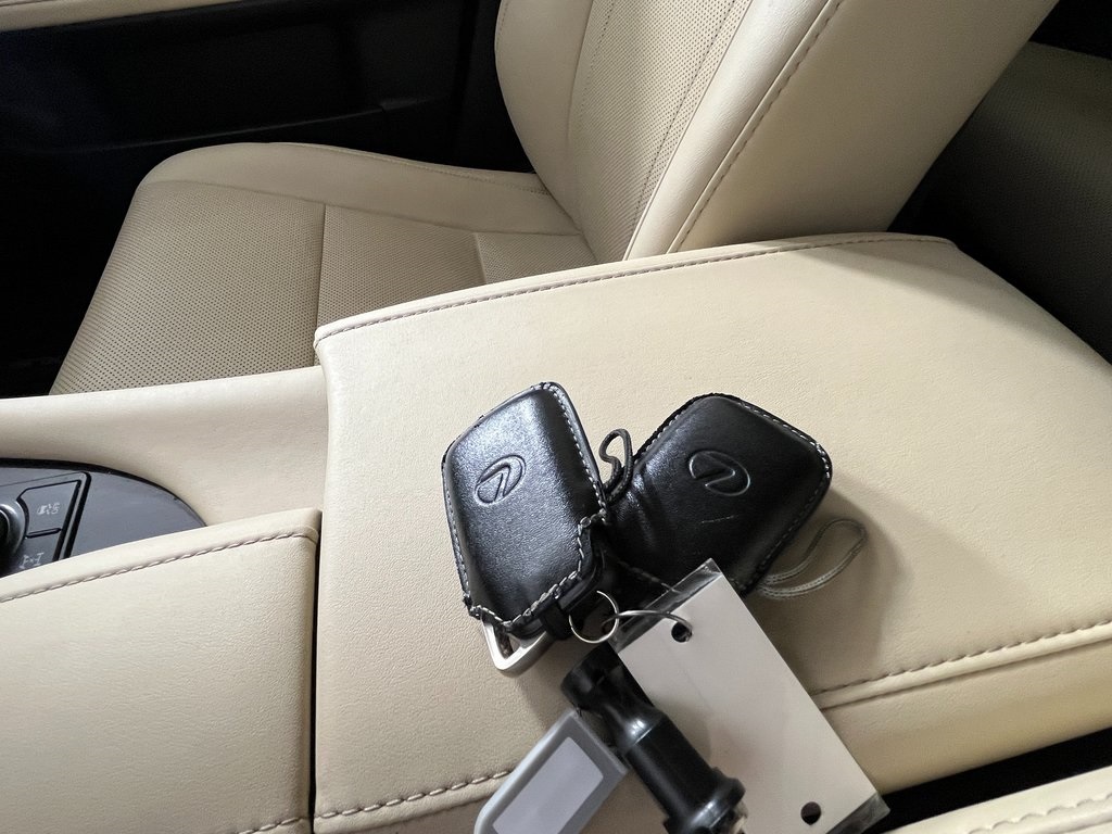 2021 Lexus RX 350 photo 20
