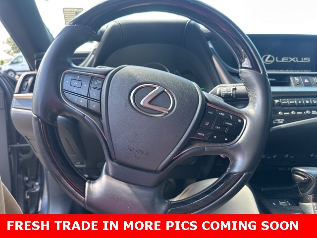 2019 Lexus ES 350 Ultra Luxury photo 19
