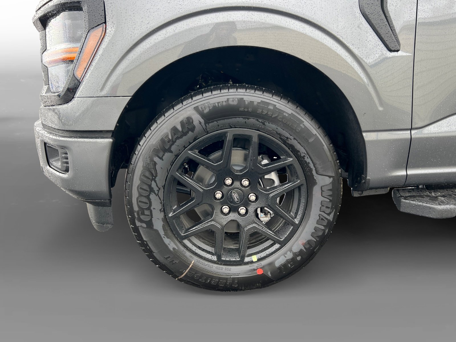 2025 Ford F-150 STX photo 8