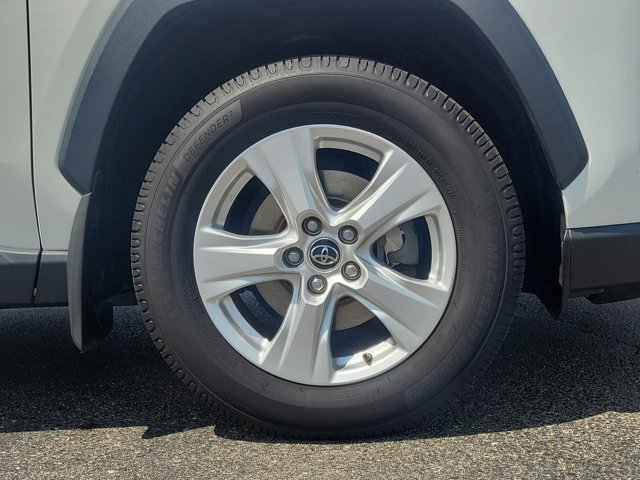 2019 Toyota RAV4 XLE photo 5