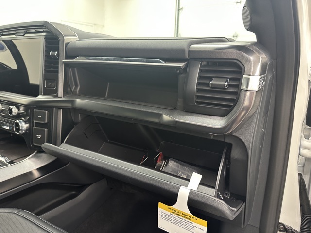 2025 Ford F-150 Platinum photo 11