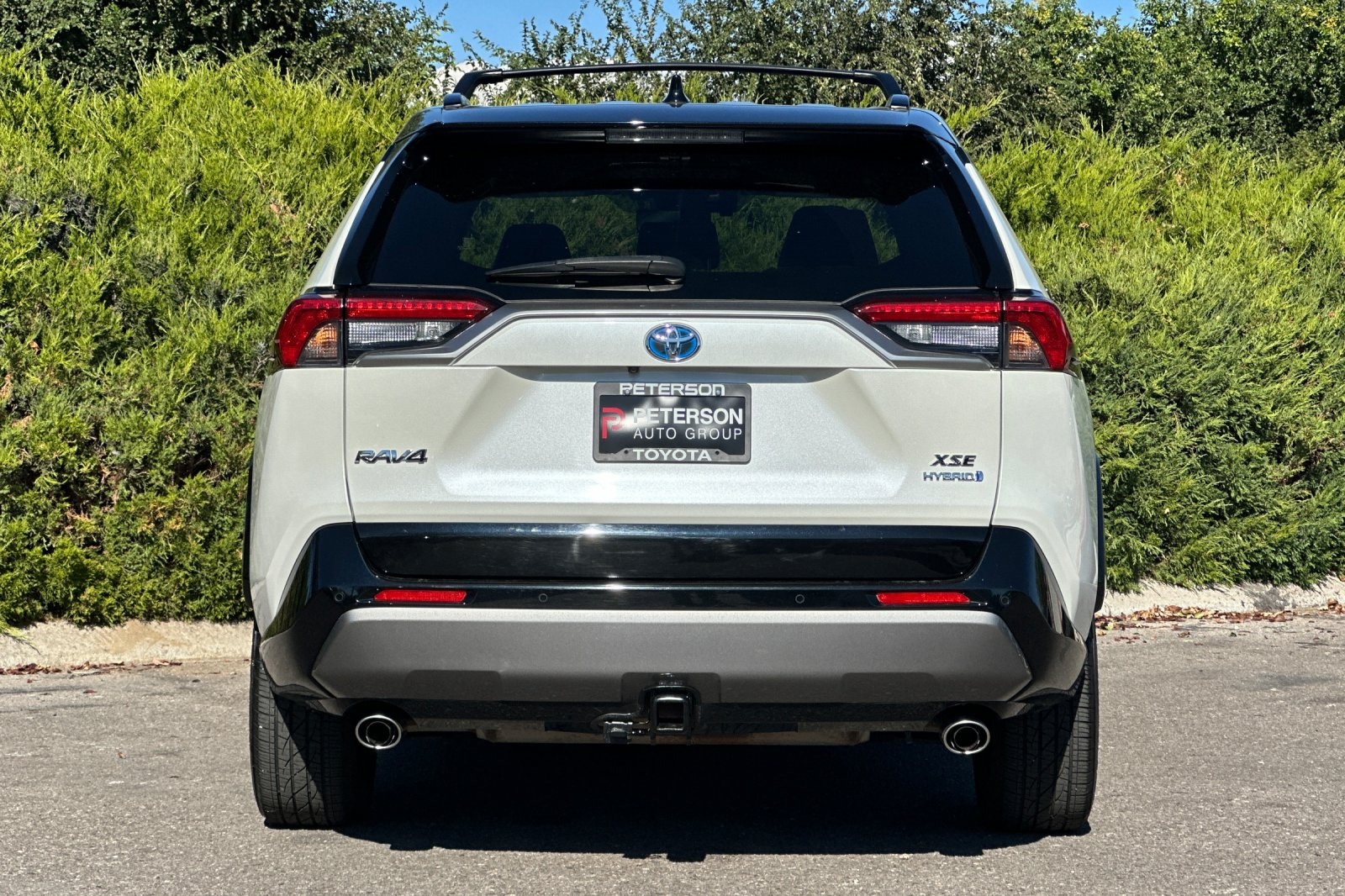 2019 Toyota RAV4 Hybrid XSE photo 3