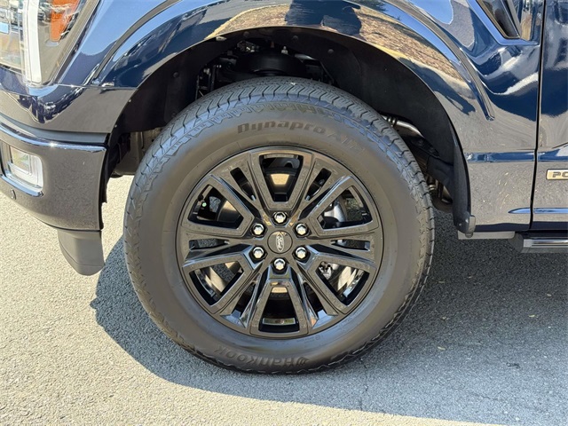 2024 Ford F-150 Platinum photo 11