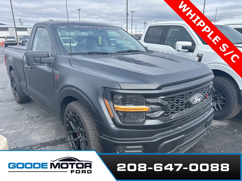 2025 Ford F-150 XL's photo