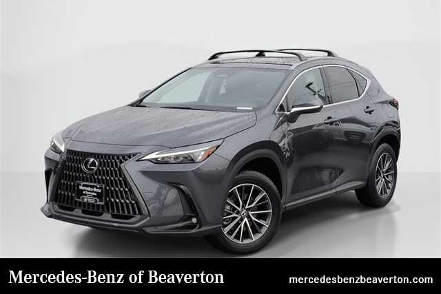 2025 Lexus NX 350's photo
