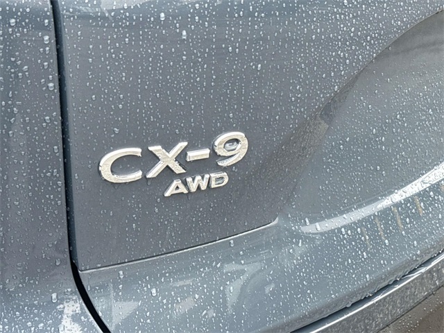 2022 Mazda CX-9 Carbon photo 4