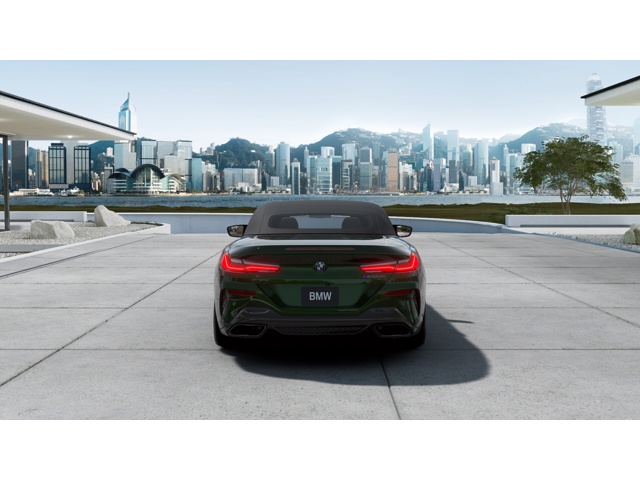 2026 Bmw M850i M850i xDrive photo 5