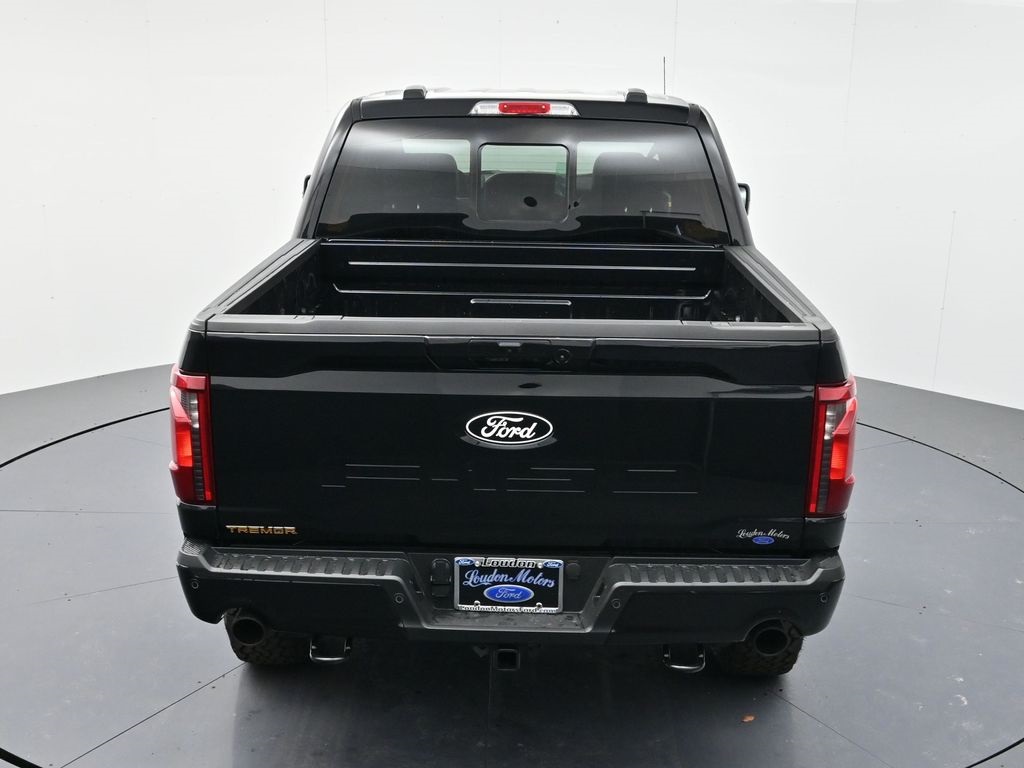 2025 Ford F-150 Tremor photo 41