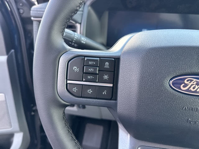 2025 Ford F-150 Lightning photo 12