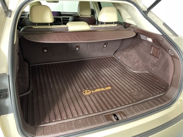 2018 Lexus RX 350 photo 32