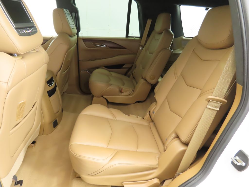 2017 Cadillac Escalade Platinum photo 20